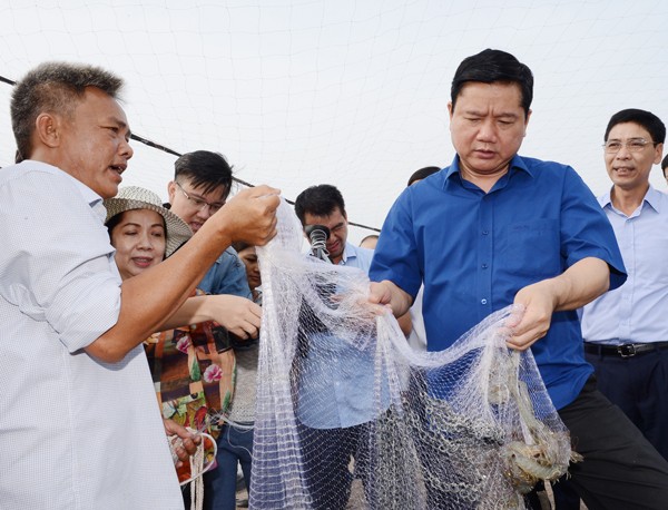 Secretary Dinh La Thang (blue short sleeve shirt) visits a shrimp farm in Can Gio district, HCMC on December 25 (Photo: SGGP)